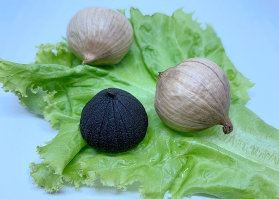 3.5cm Ontwaterd Zwart Knoflook