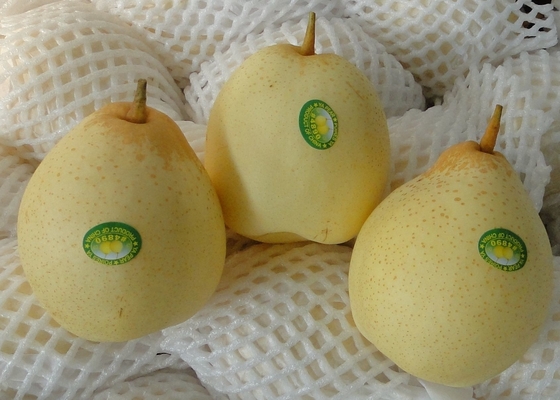 Zoete Sappige Verse Chinese Ya-Heerlijke de Kroonpeer van het Perenfruit