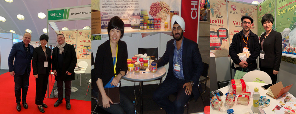 Groen Bean Vermicelli