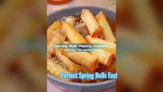 Chinese bevroren loempiaverpakkingenfabriek | EU-standaard, Britse afhaalrestaurants en aangepaste fastfoodshowcase