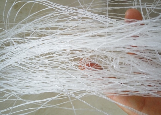 OEM Longkou Vermicelli Noodles voor gepersonaliseerde verpakking en branding