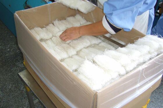 Halal Hotel Groene Bonen Vermicelli China Longkou Vermicelli Fabriek Leverancier