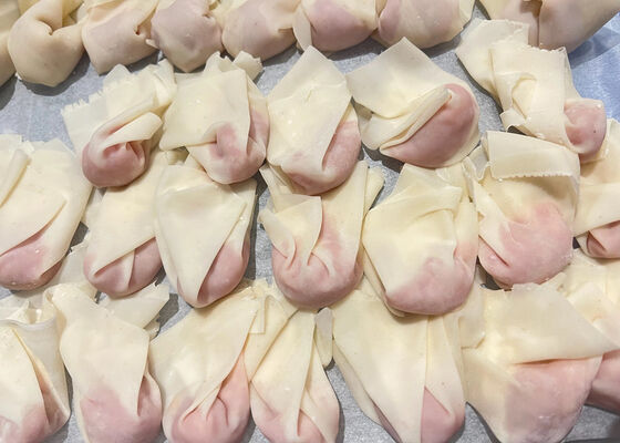 Wontonverpakkingen | BRC- en HALAL-gecertificeerd | EU-standaardfabriek