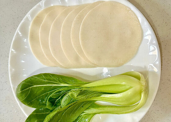 Dumpling Wrappers – HALAL-gecertificeerde EU-standaardfabrikant