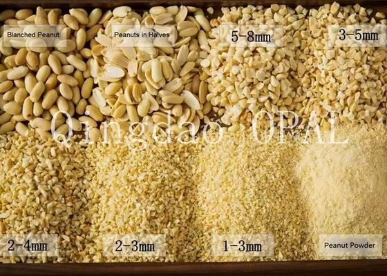 Premium geblancheerde pindakern, HALAL & EU-conform, rauwe pinda's zonder schil voor invoer