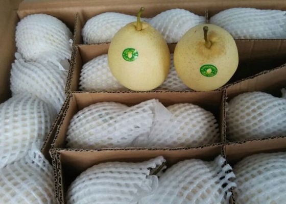 Kernachtige Zinkwitpeer