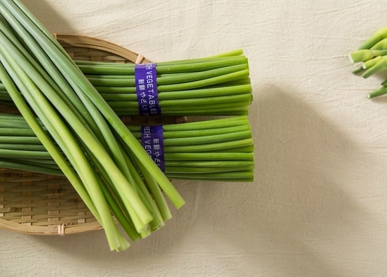 45cm Knoflook die Groene Stammen kweken