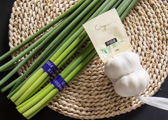 Verse het Knoflookbout van HACCP