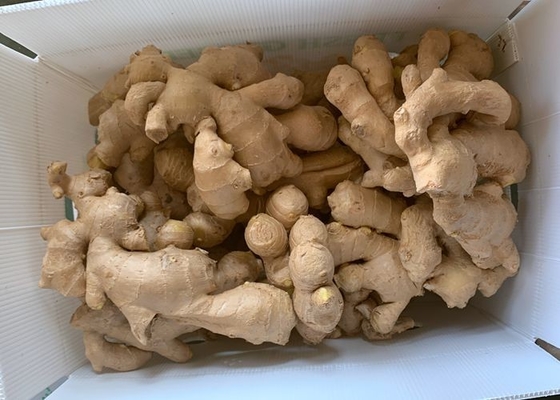 300g aan de lucht gedroogde gele Gember
